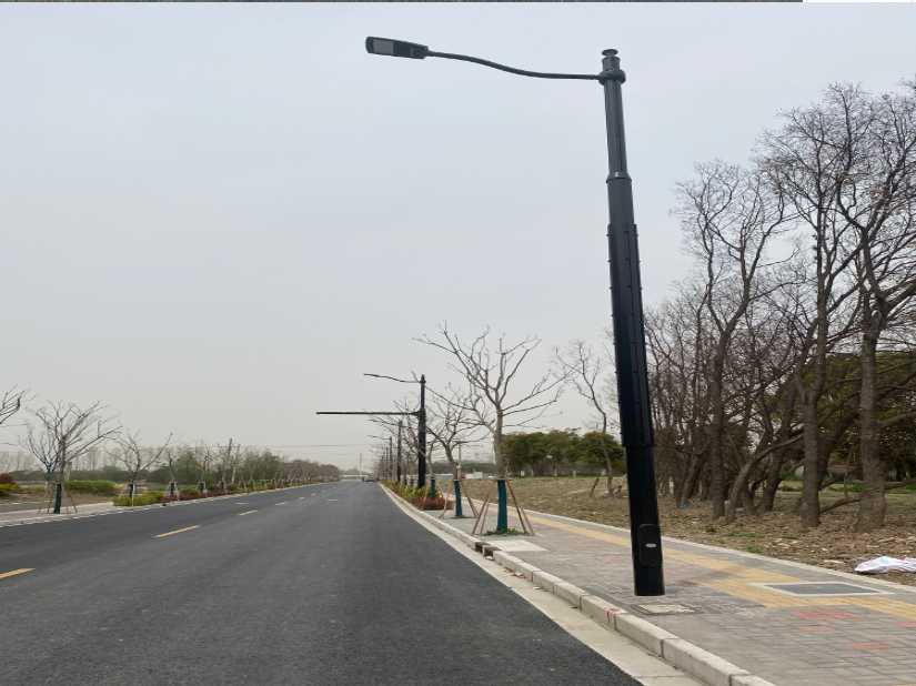 钱塘区上海综合杆 太阳能路灯工程